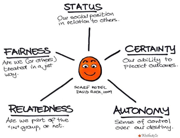 SCARF MODEL OF BRAIN