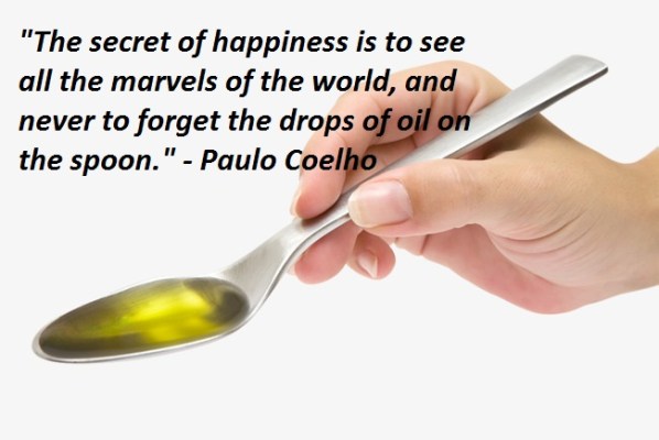 paulo coelho quote.jpg
